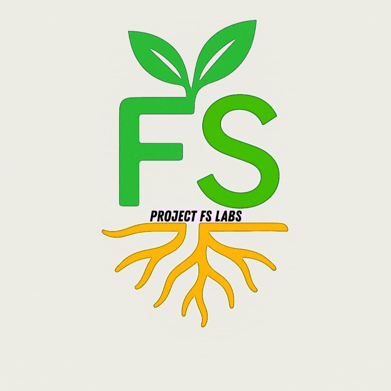 FSlabs